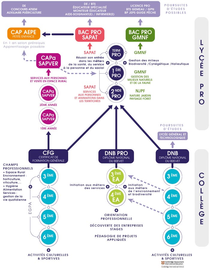 Formations dispensées dans l’établissement scolaire du Cluzeau au collège, lycée et post-bac