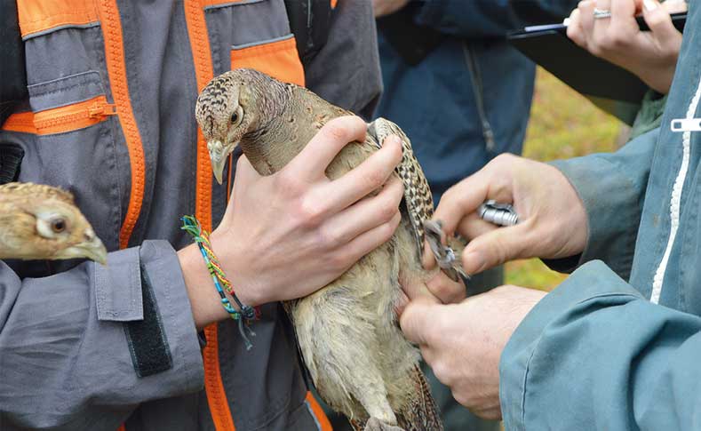 Bac Pro GMNF : au service de l’entretien et de la sauvegarde des espaces naturels et de la faune.