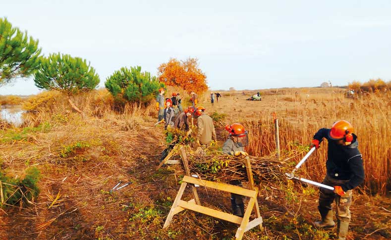 Bac Pro GMNF : gestion des milieux naturels de de la faune.